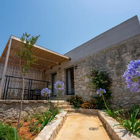 Arameras クサミル